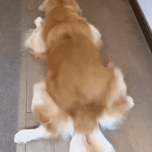 ワンタッチトリムPro