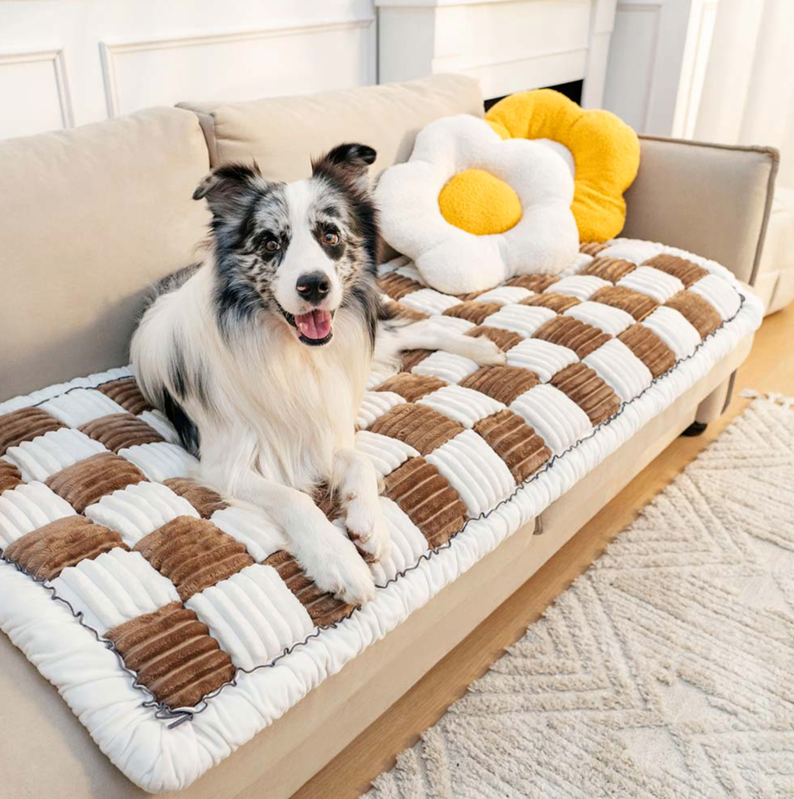 PETTI 愛犬用快適カウチカバー