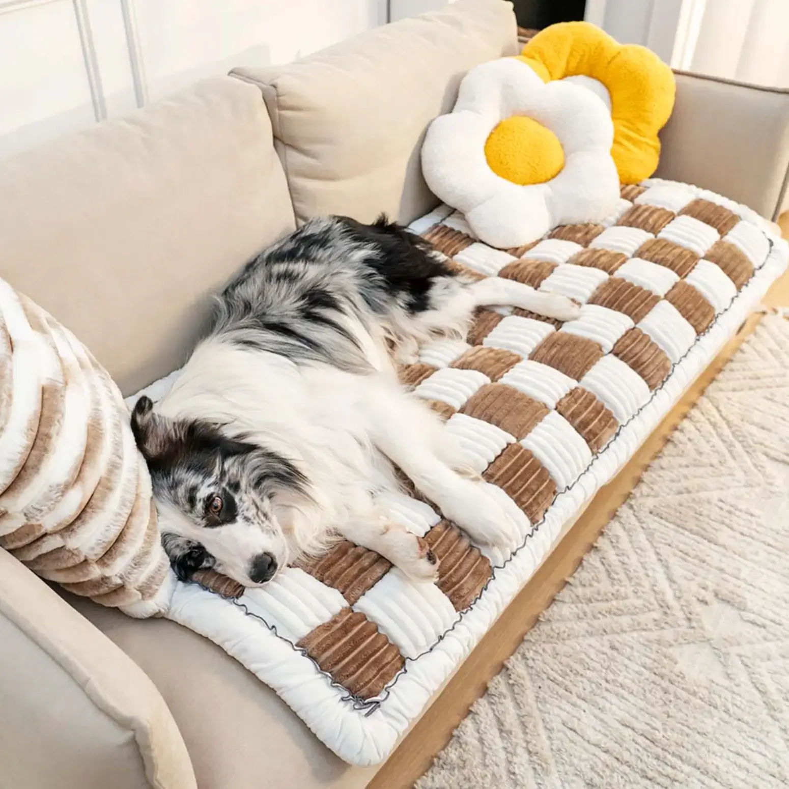 PETTI 愛犬用快適カウチカバー