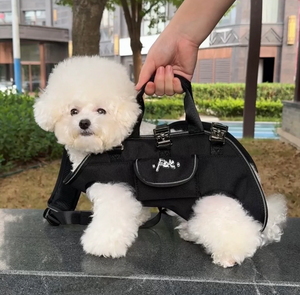 PETTI ペット快適キャリーバッグ