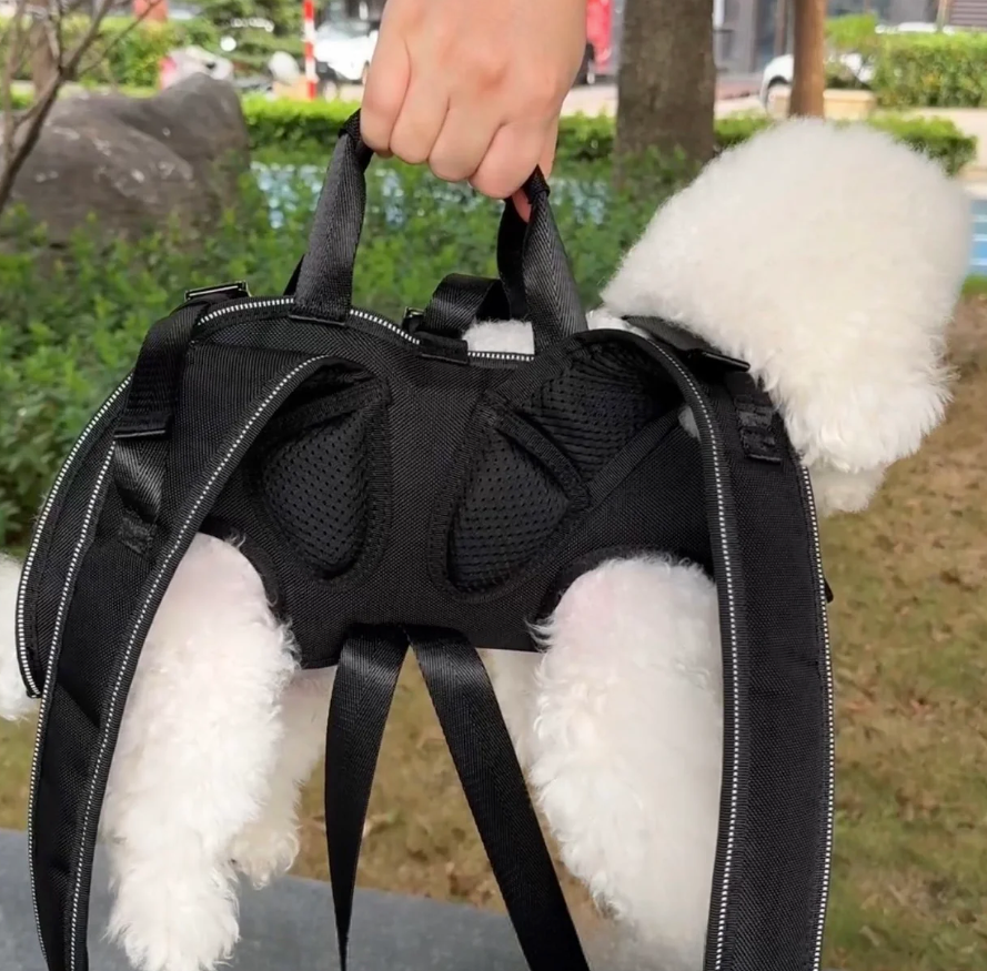 PETTI ペット快適キャリーバッグ