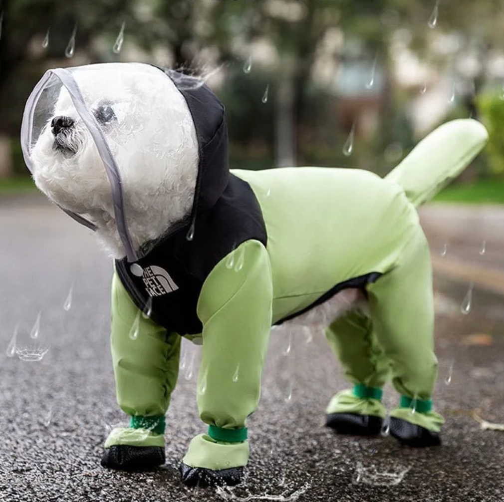 Remedyyyレメディ　犬服　わんちゃん　お洋服　2点セット　緑色 PETTI ワンちゃんレインシールド