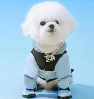 PETTI ワンちゃんレインシールド