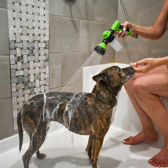 愛犬シャワー君