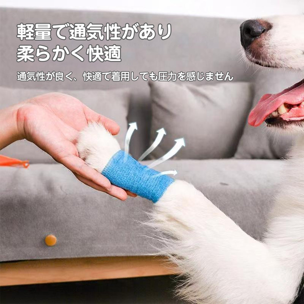 PETTI アウトドアプロテクトバンデージ – 汚れを防ぎ、関節を支える快適サポート