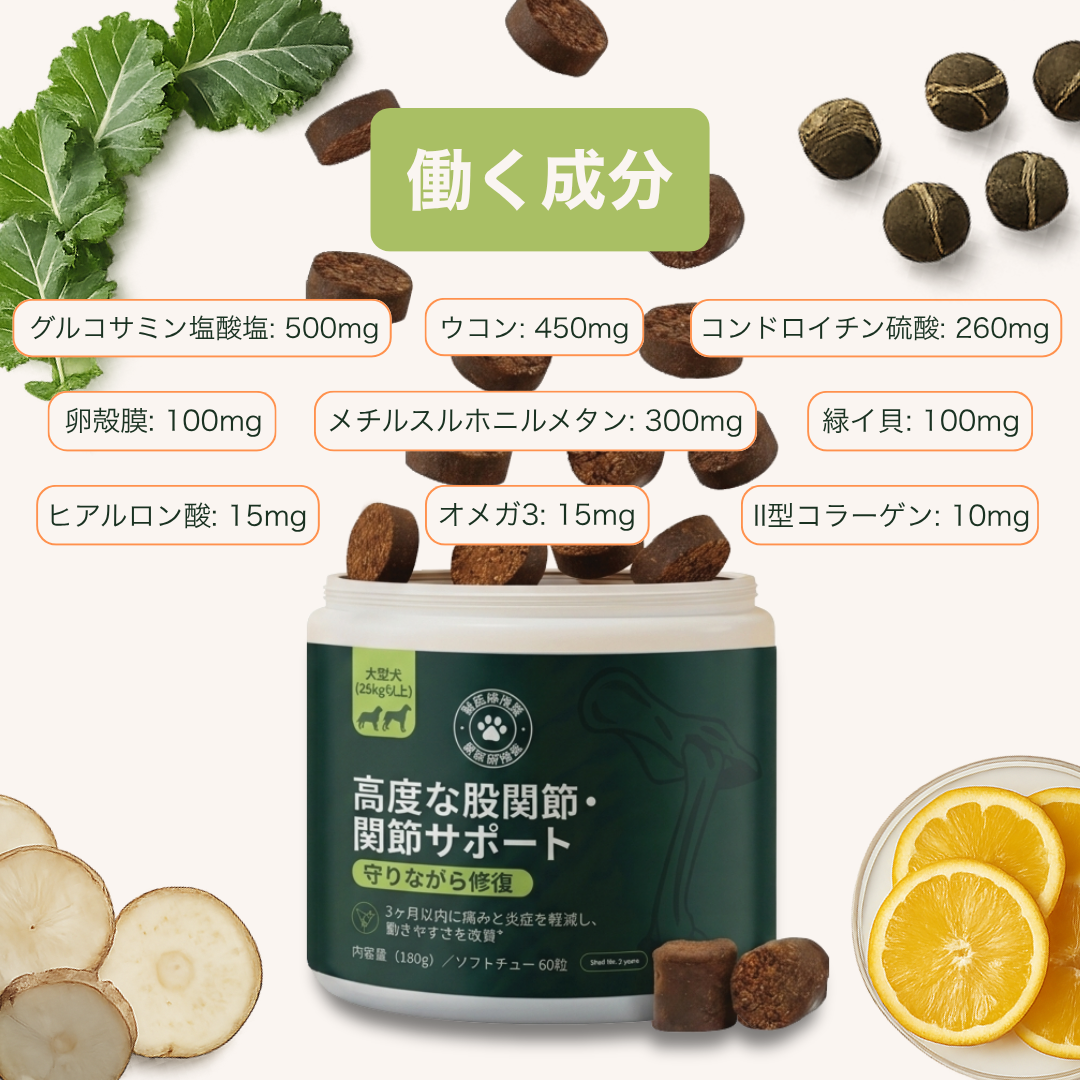 PETTI 高度な股関節・関節サポート