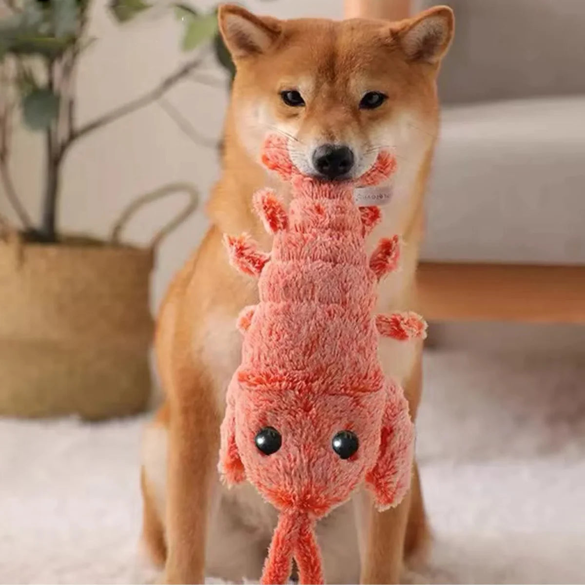 ロブスター犬用プレイトイ
