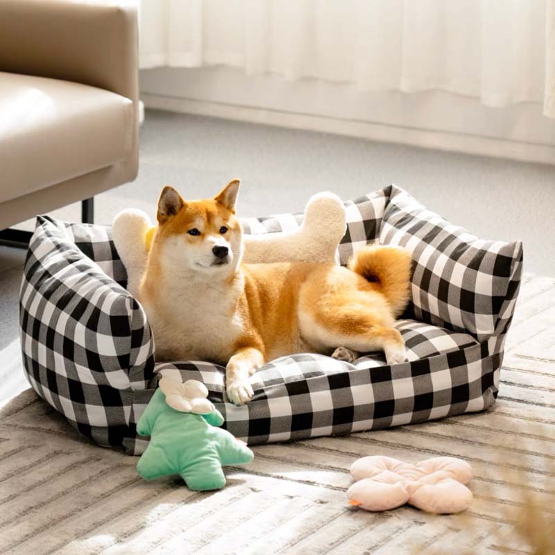 快適な豪華ソファ