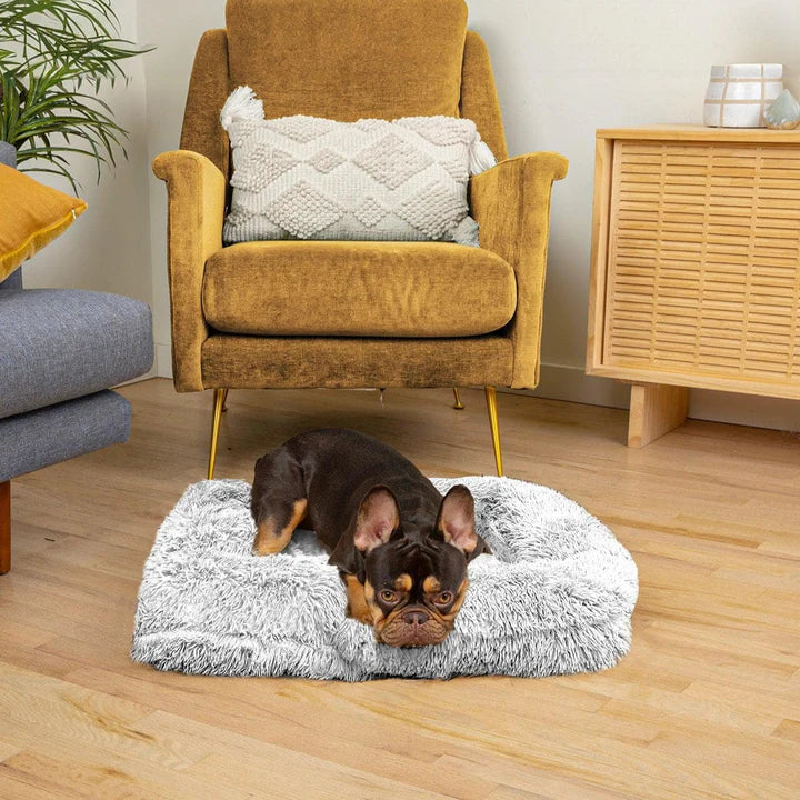 PETTI ふわふわ犬用ベッド | 高品質の整形外科用サポート