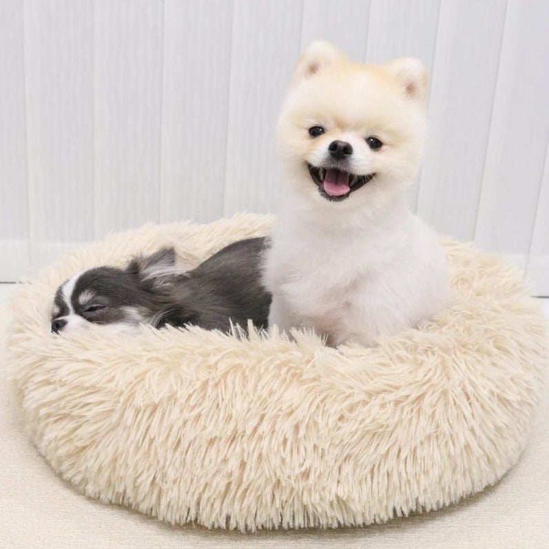 犬 ベッド ふわふわ ベージュ 小