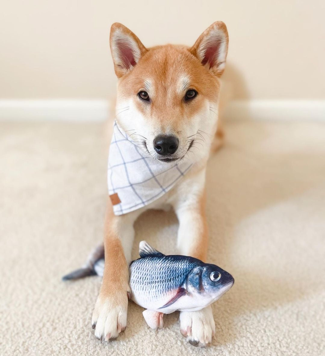 の魚のおもちゃ
