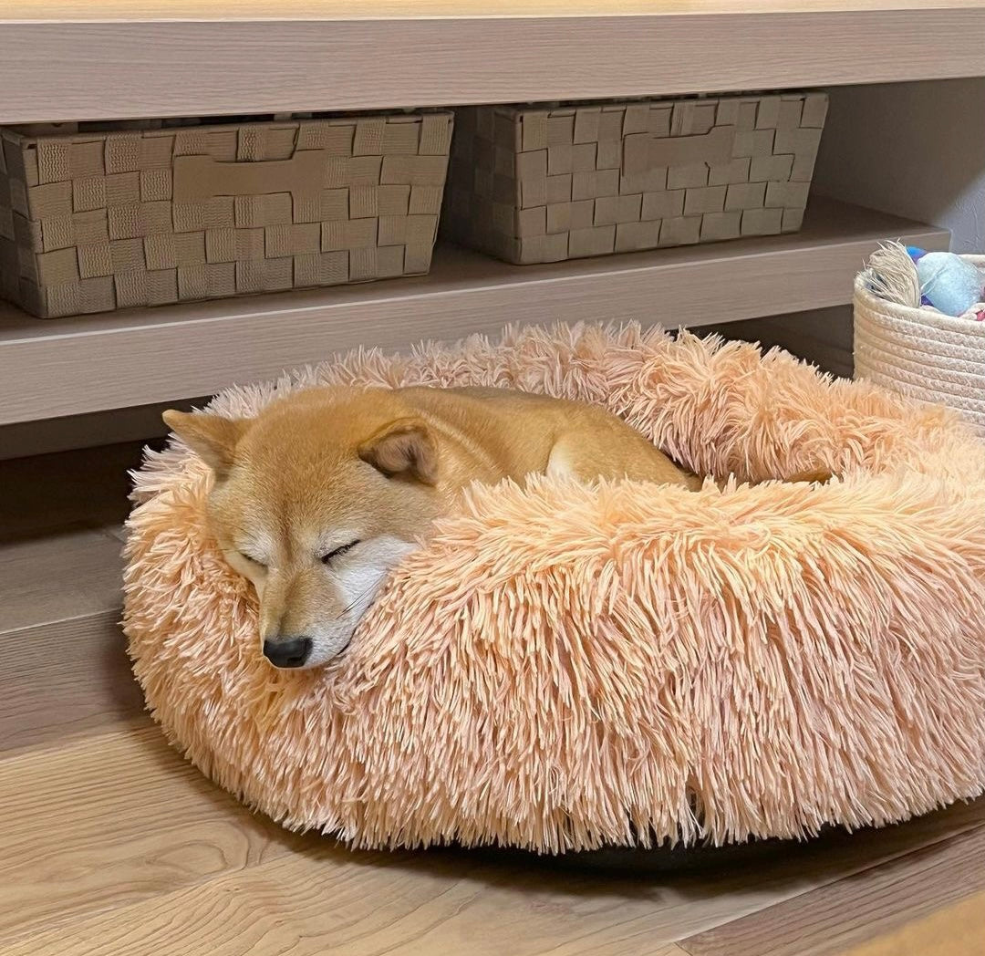 PETTI ふわふわ犬 ベッド