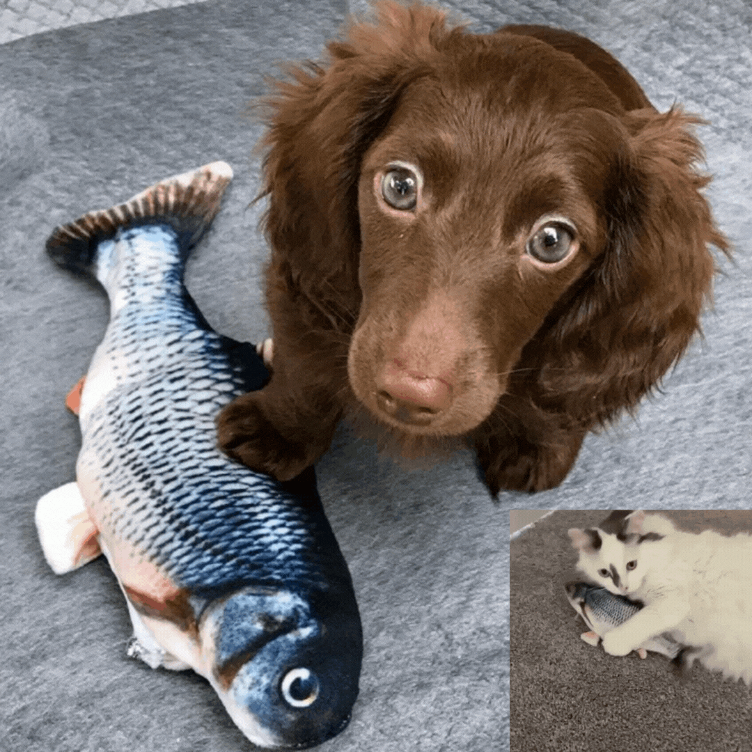 PETTI の魚のおもちゃ