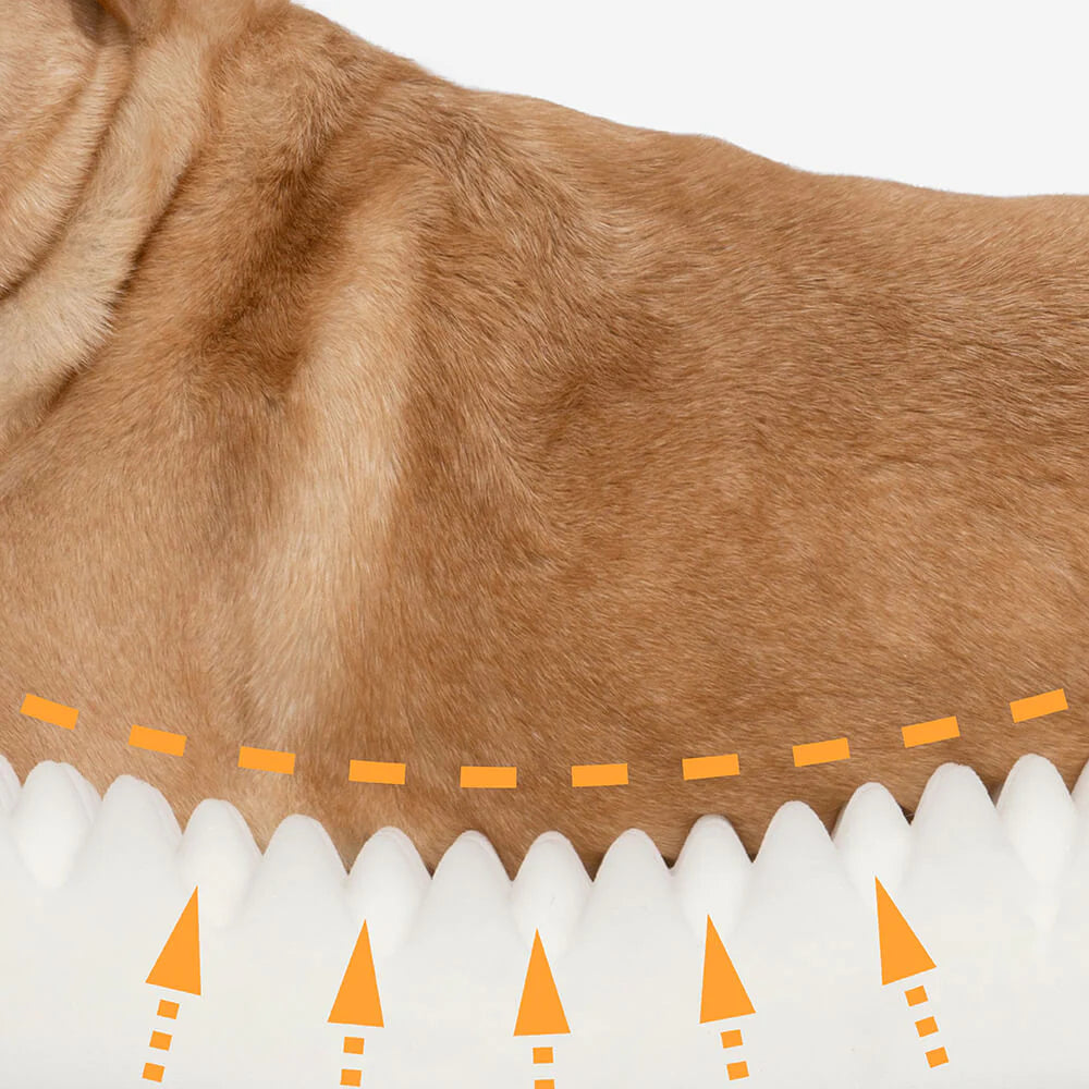 PETTI 究極の寝心地 サークル・オーソペディック犬ベッド