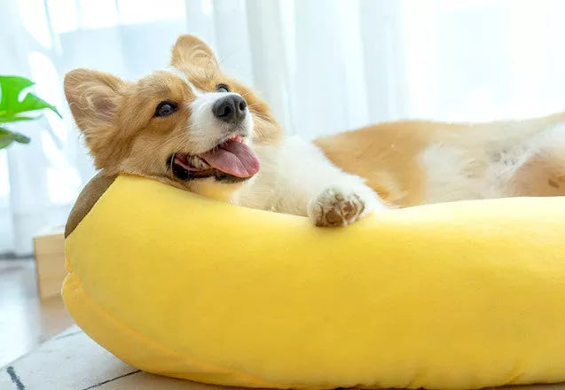 PETTI ラグジュアリー犬用バナナベッド – 関節をサポート