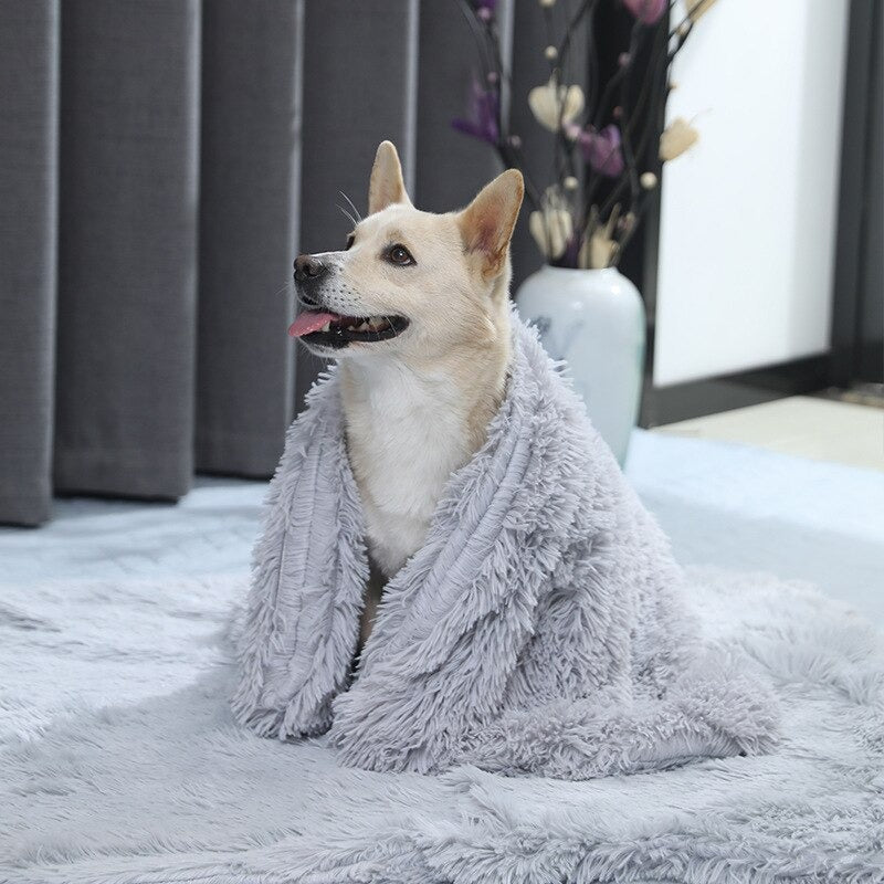 ふわふわペットブランケット - 冬支度を万全に! ❄️