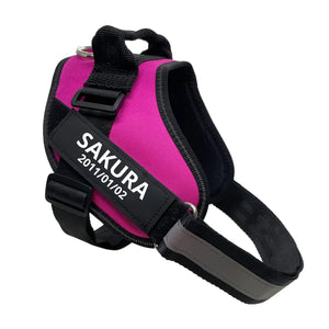 PETTI 個人用ノープルドッグハーネス