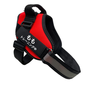 PETTI 個人用ノープルドッグハーネス