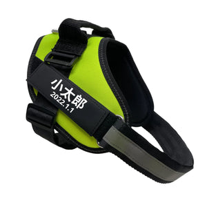 PETTI 個人用ノープルドッグハーネス