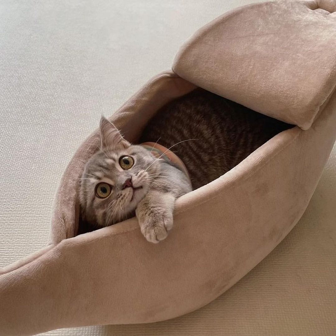 バナナベッド