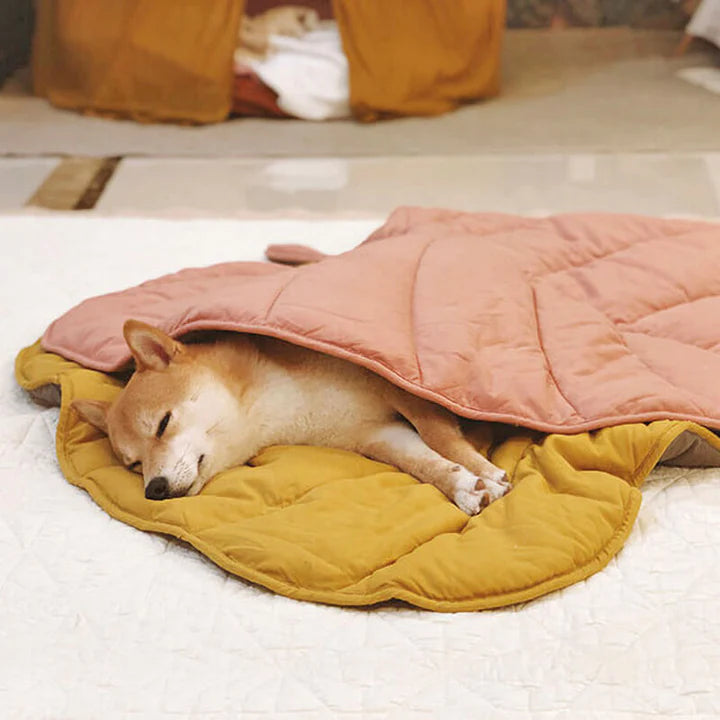 PETTI 葉っぱ型犬用マット