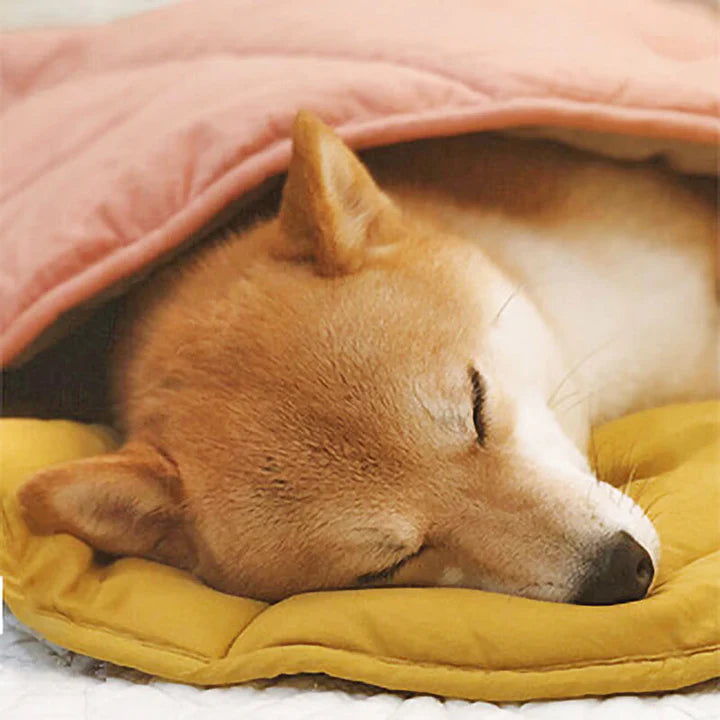 PETTI 葉っぱ型犬用マット