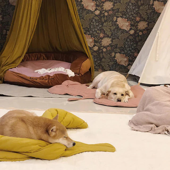 PETTI 葉っぱ型犬用マット