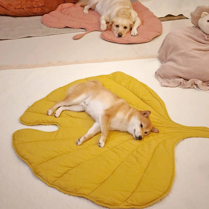 PETTI 葉っぱ型犬用マット