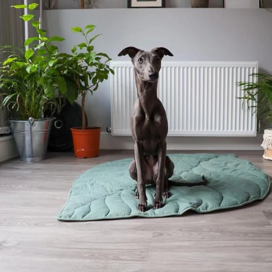 PETTI 葉っぱ型犬用マット