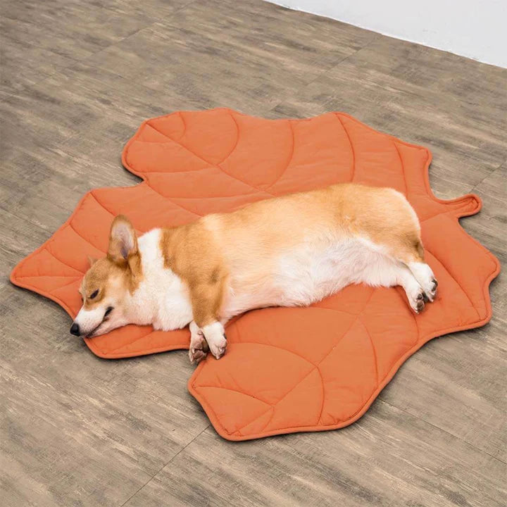 PETTI 葉っぱ型犬用マット