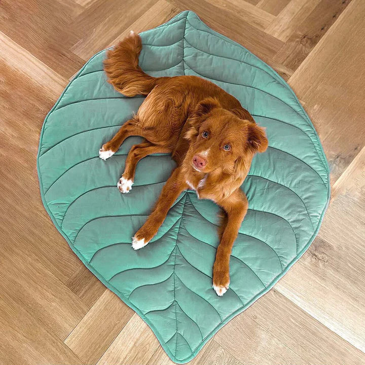 PETTI 葉っぱ型犬用マット