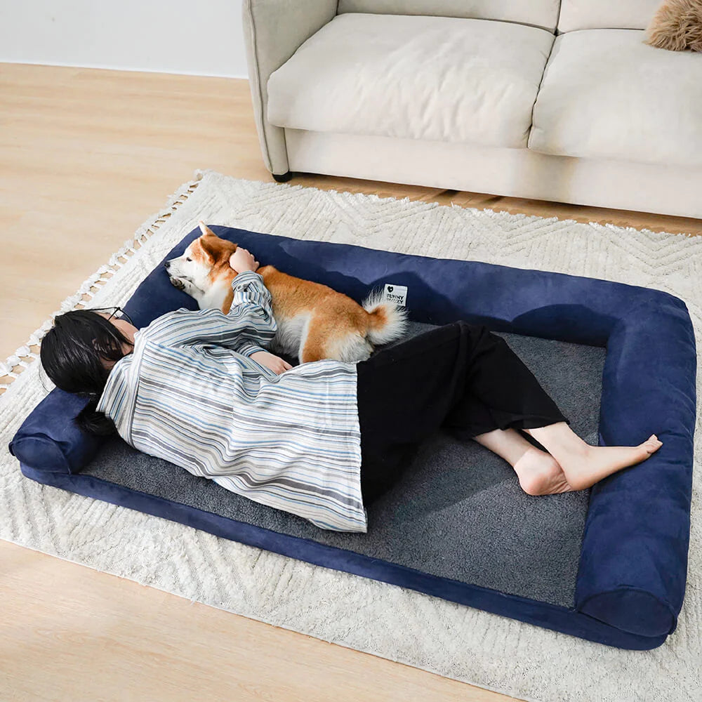 PETTI 高級快適犬用整形ベッド