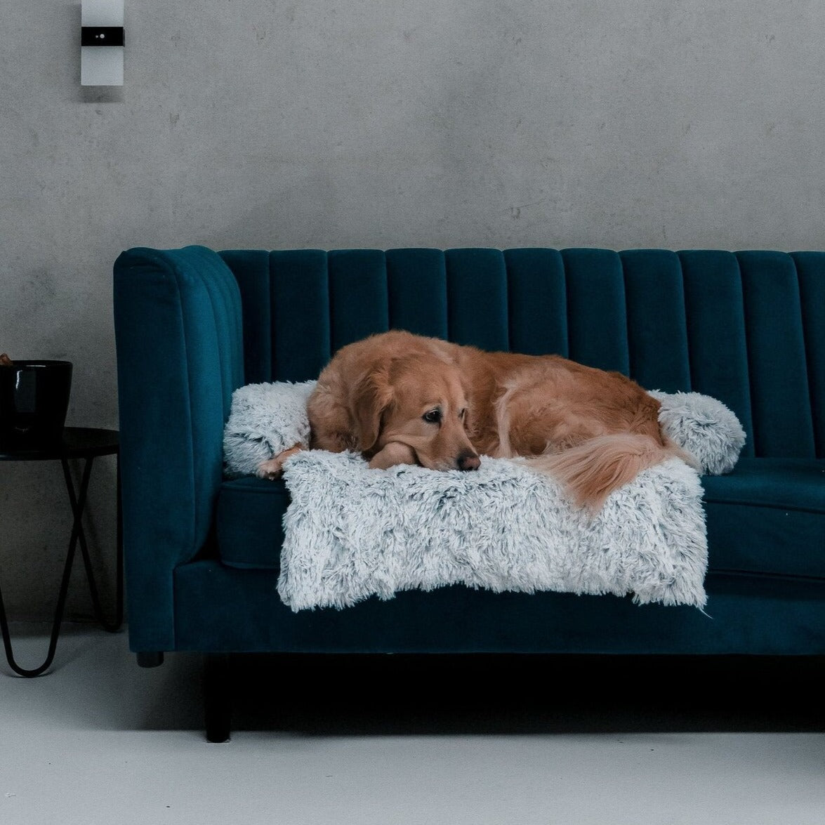 犬 ソファー ベッド ライトグレー
