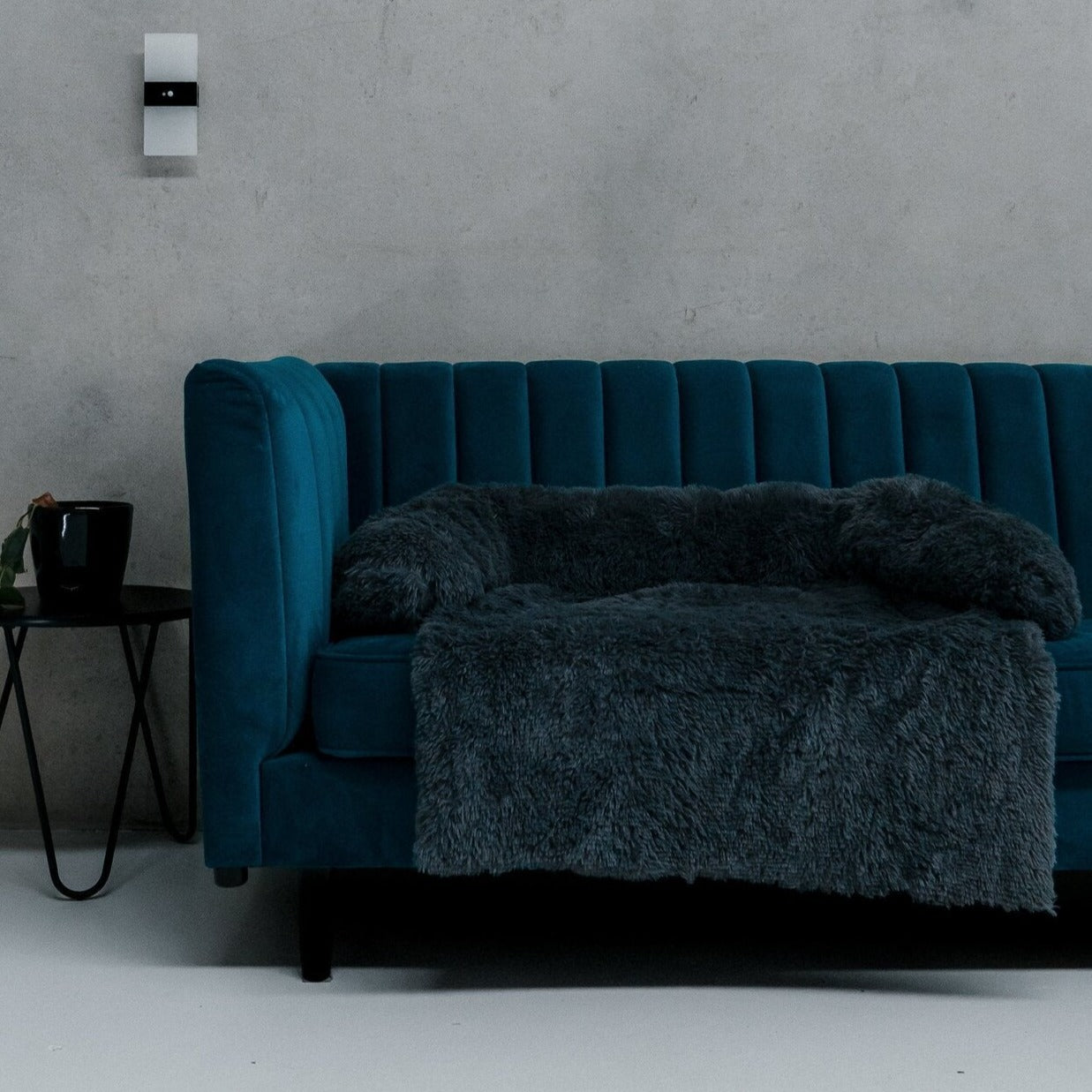 犬 ソファー ベッド 濃い灰色