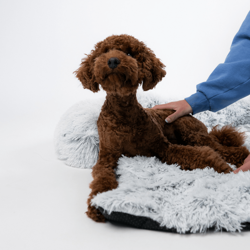 犬 ソファー ベッド ライトグレー