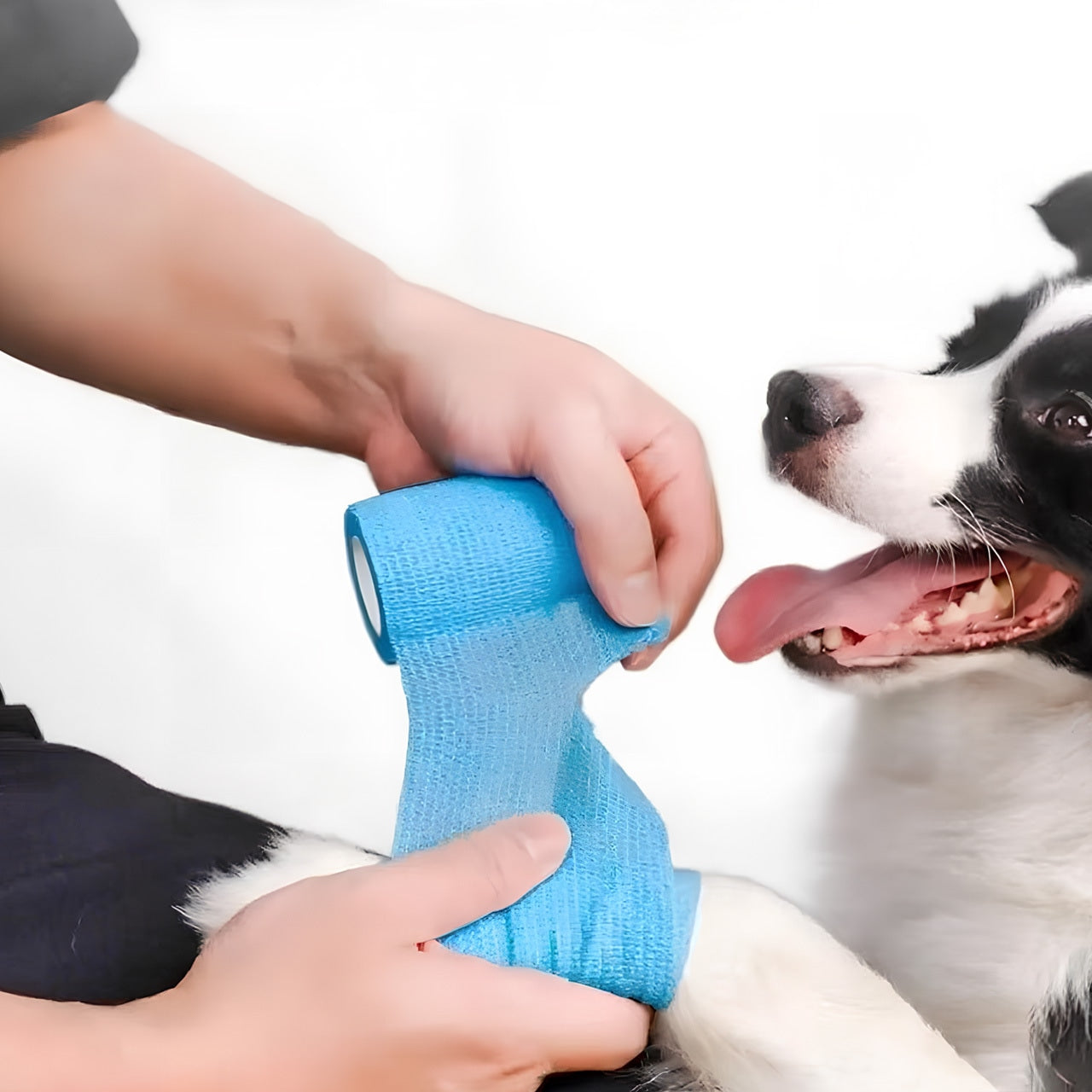 PETTI アウトドアプロテクトバンデージ – 汚れを防ぎ、関節を支える快適サポート