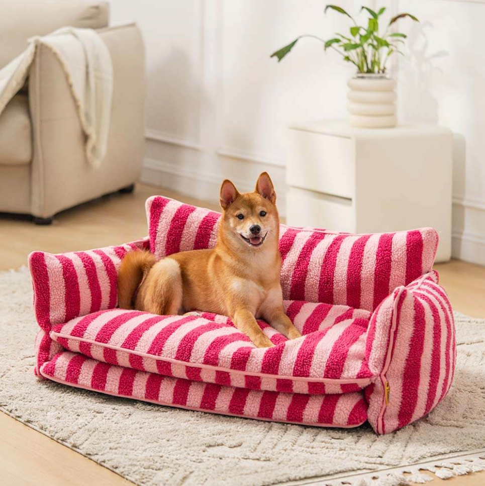 美品】ソファ 犬 撮影 高級 手渡し限定 楽天市場】ベッド フロア 美品】ソファ 犬 撮影 高級 手渡し限定 楽天市場】ベッド フロア