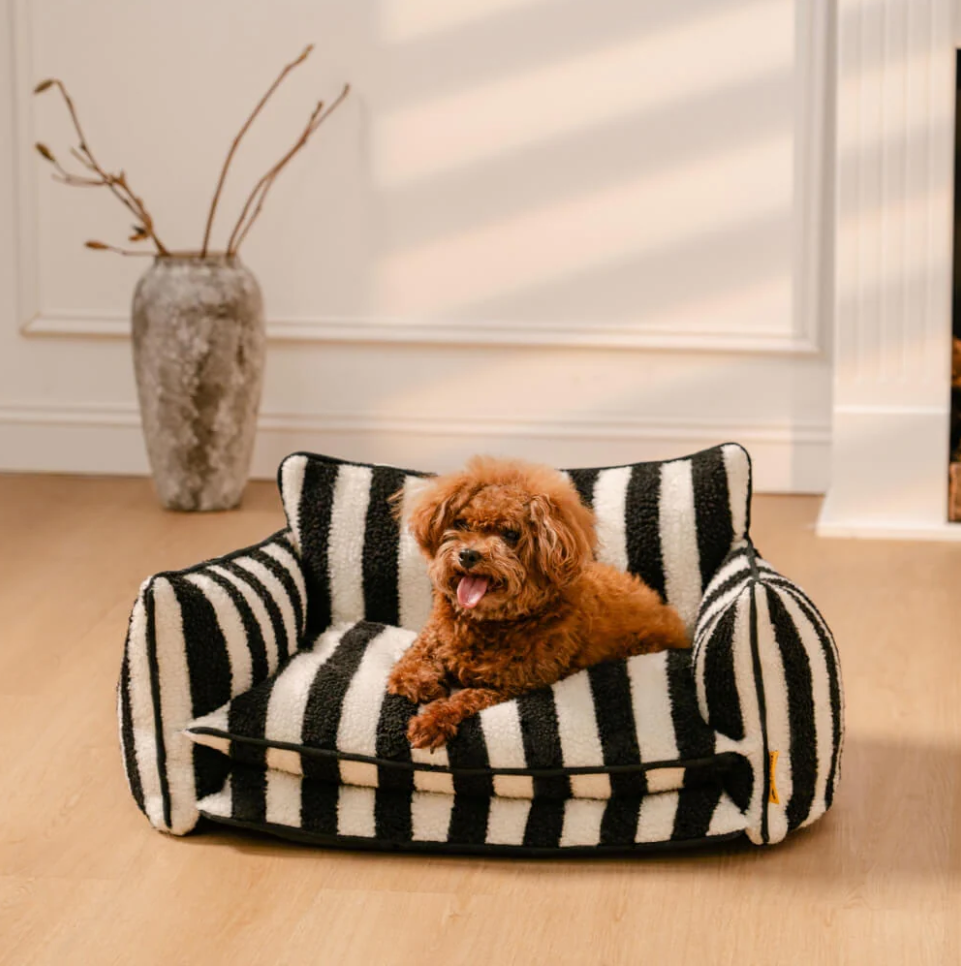 美品】ソファ 犬 撮影 高級 手渡し限定 楽天市場】ベッド フロア 美品】ソファ 犬 撮影 高級 手渡し限定 楽天市場】ベッド フロア