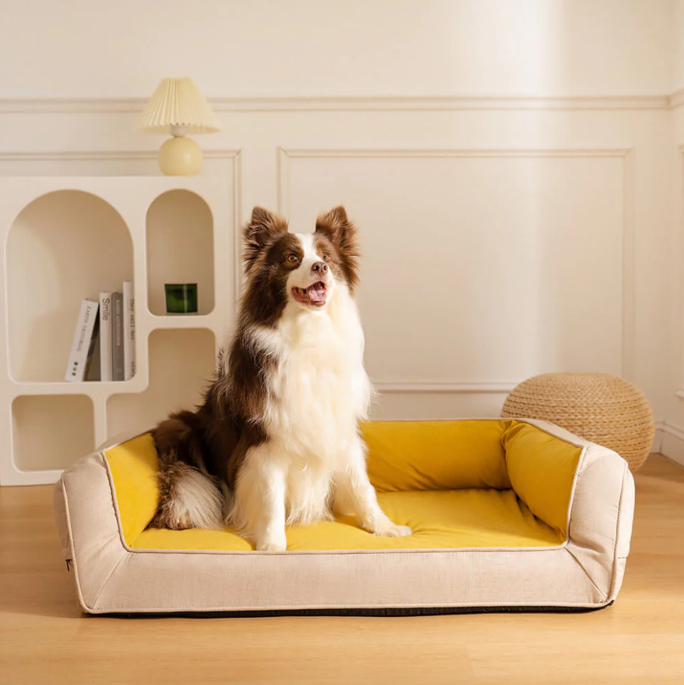 PETTI 高級快適犬用整形ベッド