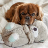 オッティ™ - あなたの犬のための鎮静効果のある抱き枕カワウソ！