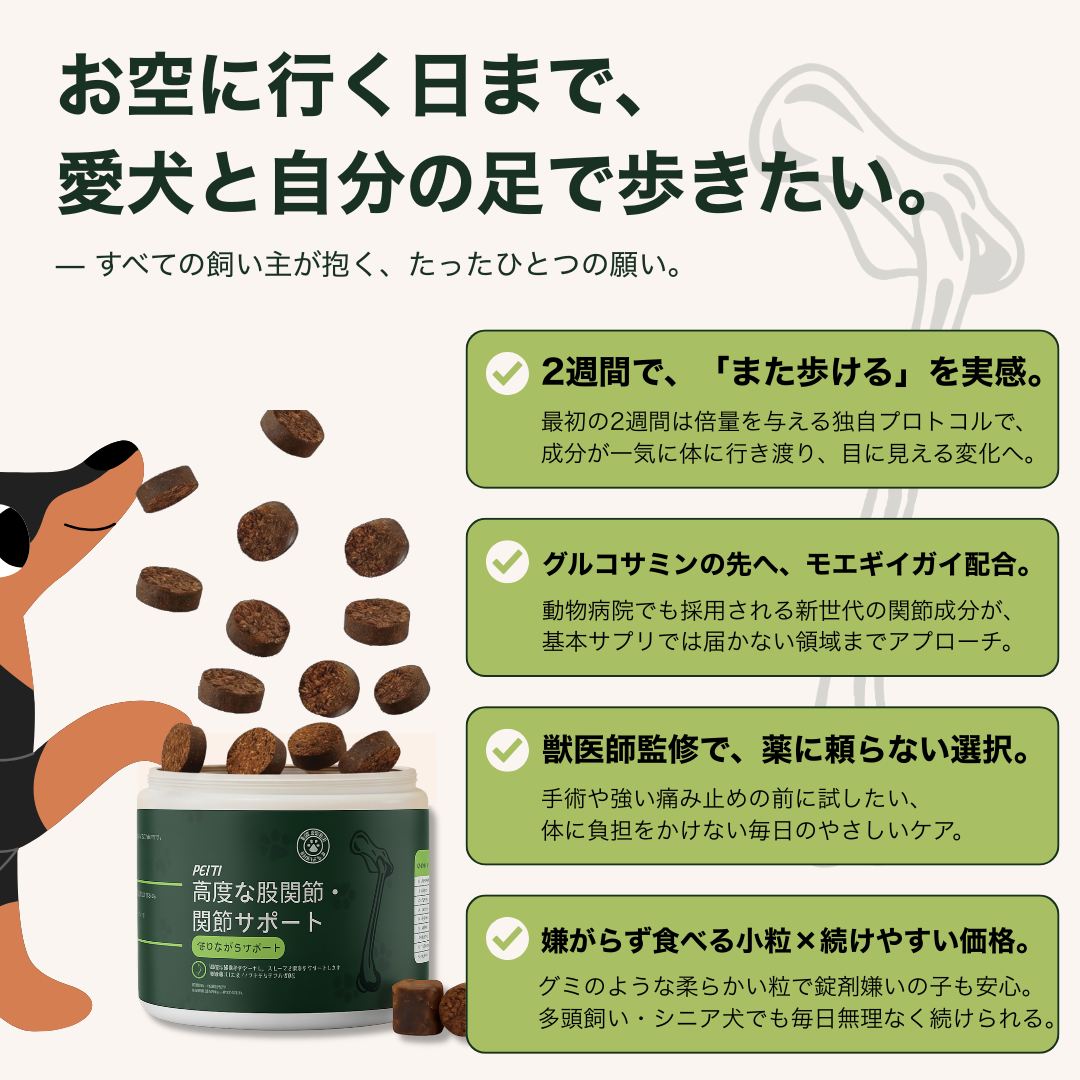 PETTI 高度な股関節・関節サポート