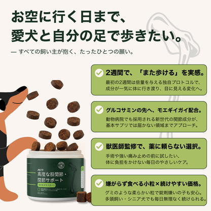 PETTI 高度な股関節・関節サポート