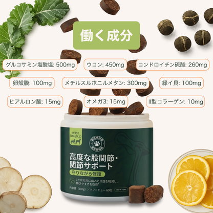 PETTI 高度な股関節・関節サポート