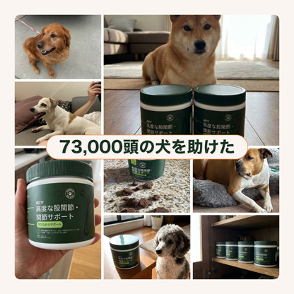 PETTI 高度な股関節・関節サポート