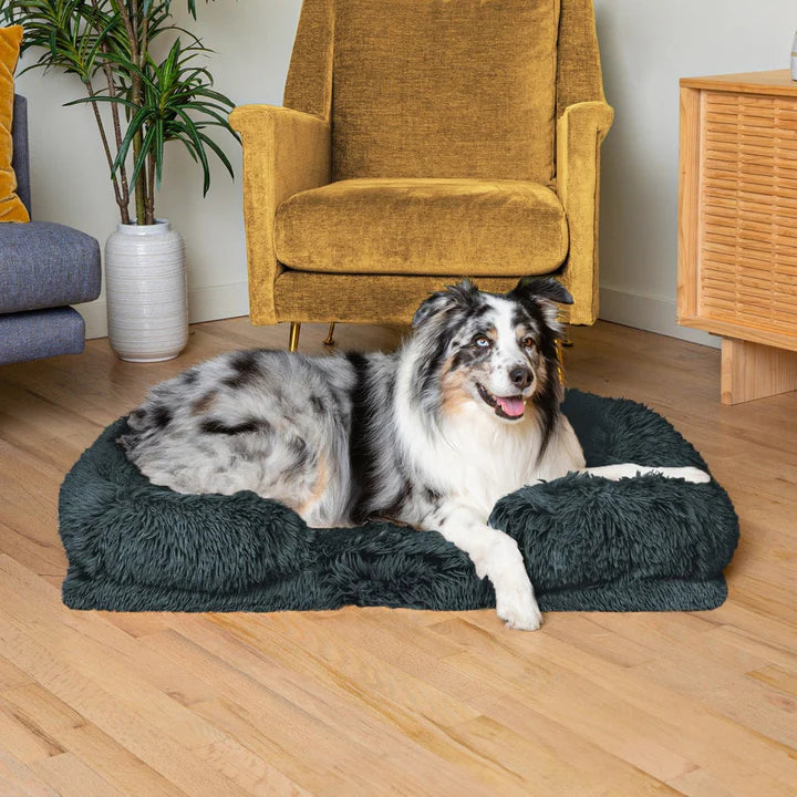 PETTI ふわふわ犬用ベッド | 高品質の整形外科用サポート