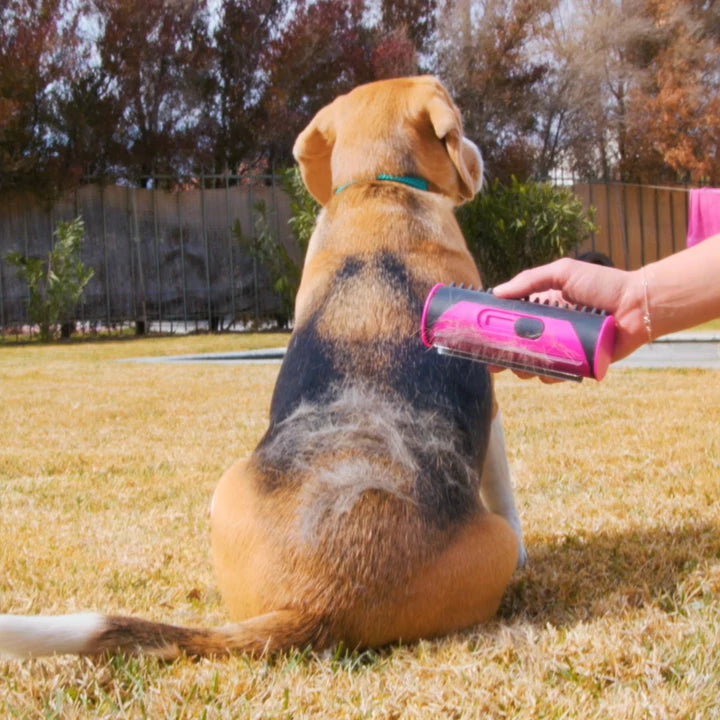 犬用毛づくろい器具 | ペットの健康的な毛づくろいに最適