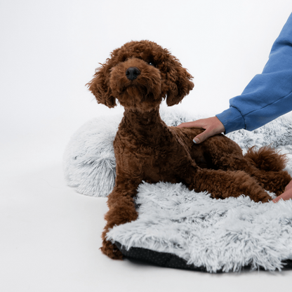 犬 ソファー ベッド ライトグレー